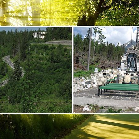 Apartman Solisko Vysoké Tatry Dış mekan fotoğraf